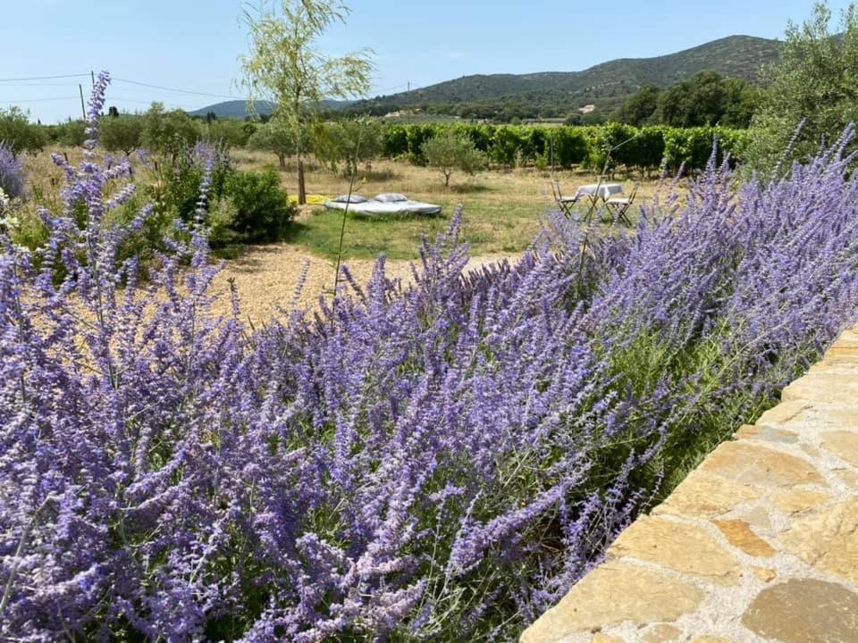 Maison D'Hotes Bastide St Victor A 2,5 Kilometres De Lourmarin Puyvert ภายนอก รูปภาพ