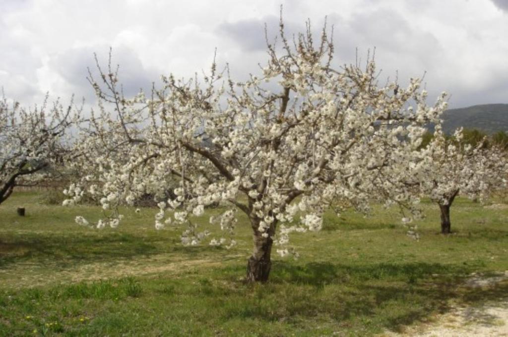 Maison D'Hotes Bastide St Victor A 2,5 Kilometres De Lourmarin Puyvert ห้อง รูปภาพ