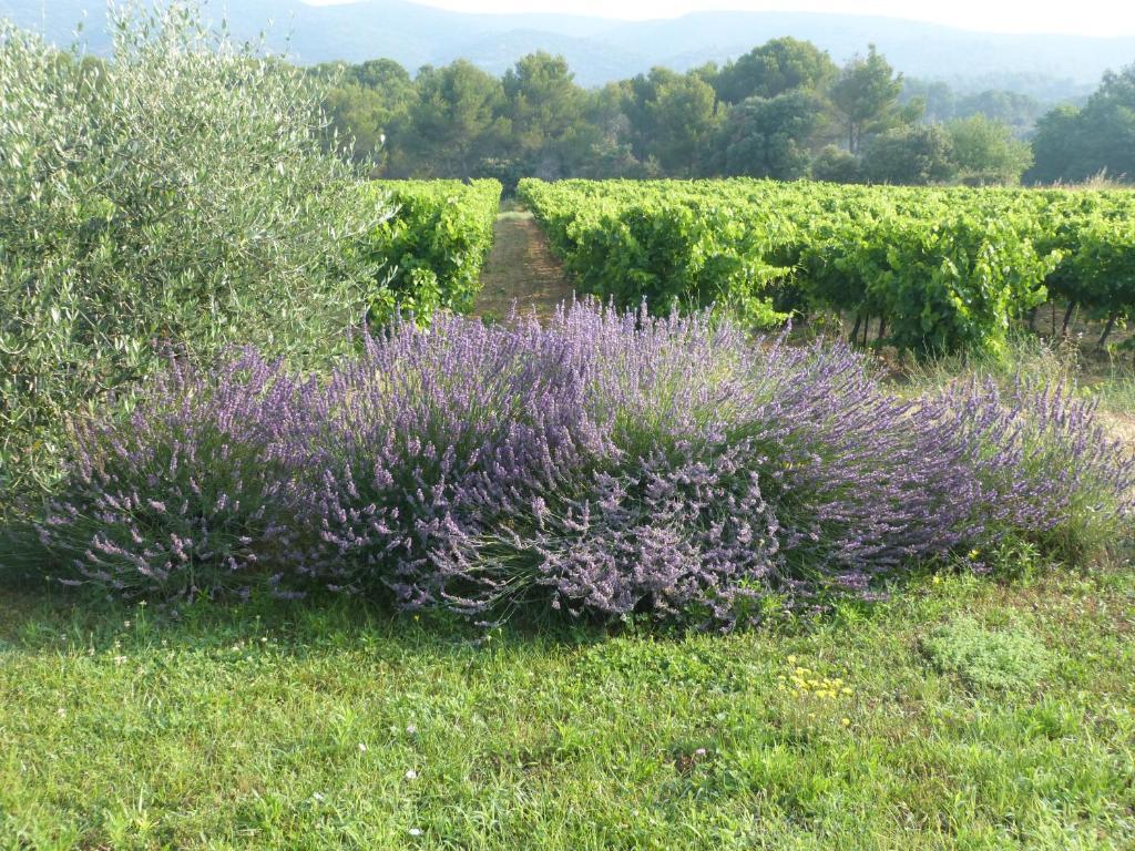 Maison D'Hotes Bastide St Victor A 2,5 Kilometres De Lourmarin Puyvert ภายนอก รูปภาพ